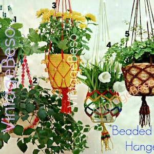 May include: Five beaded plant hangers in various colors and styles. The hangers are made with macrame and beads and are hanging from the ceiling. The plants in the hangers include a fern, a succulent, and a flowering plant. The image is labeled "70s Beaded Plant Hangers".