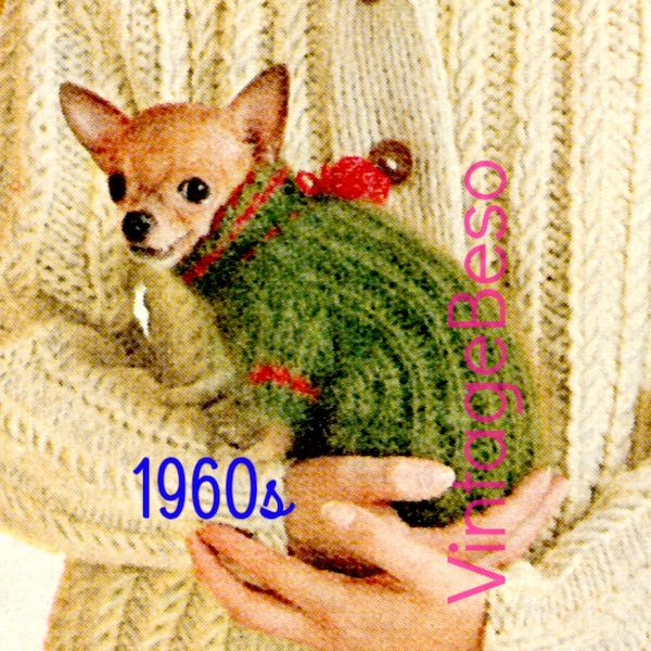 vintage 1960s Chihuahua Dog Sweater KNITTING Pattern • Knit Turtleneck Clothes Puppy Mod Jacket Love • Filigrane PDF uniquement