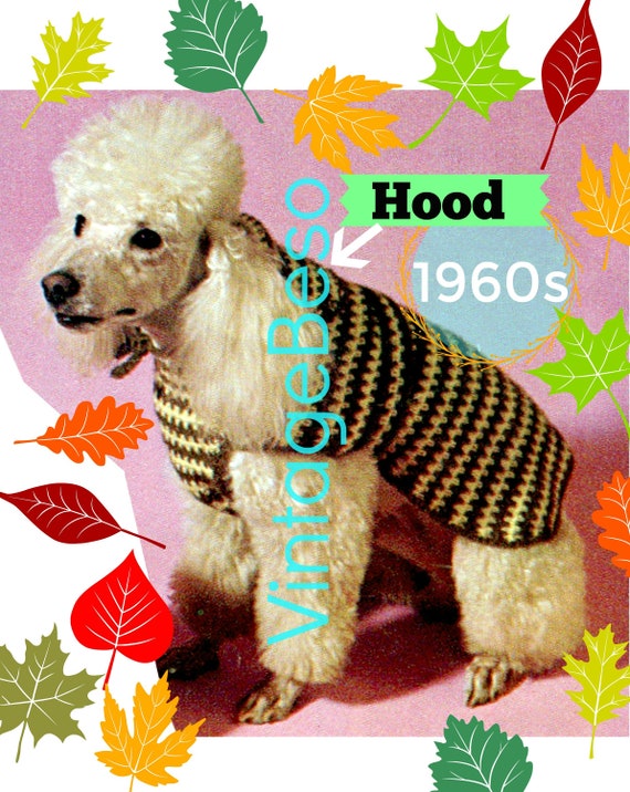 HOODED Dog Coat Crochet Pattern • 1960s Vintage Crochet • Pampered Dog Coat Crochet Pattern • Dog Sweater • INSTANT Download • PDF Only