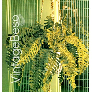 Fern Plant CROCHET Pattern • 1970s Hanging Fern Plant • Artificial House Plant • Boho Home Decor • Apartment Boho • Watermarked PDF Only