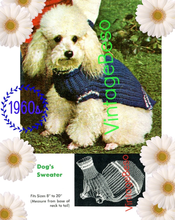 Dog Sweater KNITTING Pattern • Vintage 1960s Pampered Dog Coat Knitting Pattern • Knit Dog Sweater • Watermarked PDF Only