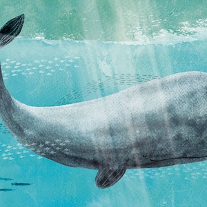 Whale Illustration | Print 21x30 | Animal illustrations | Sea Animals | Ocean Illustrations | Decor | Sea illustration | Nursery Art