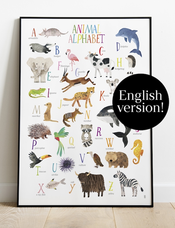 Animal Poster 50x70 Poster Animal Alphabet A to Z Animals Children Decor 