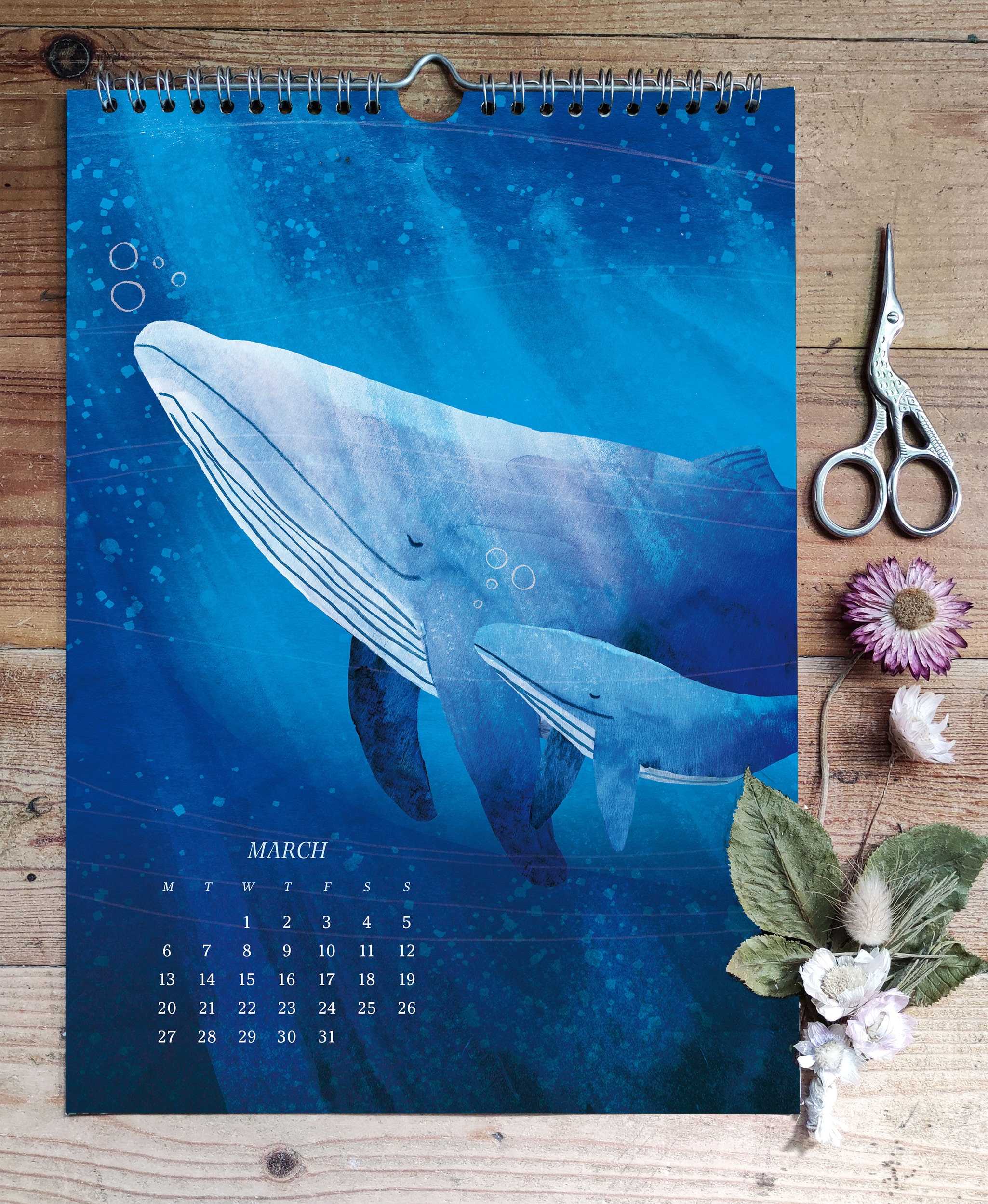 Illustrated 2023 Wall Calendar A4 Calendar Etsy UK