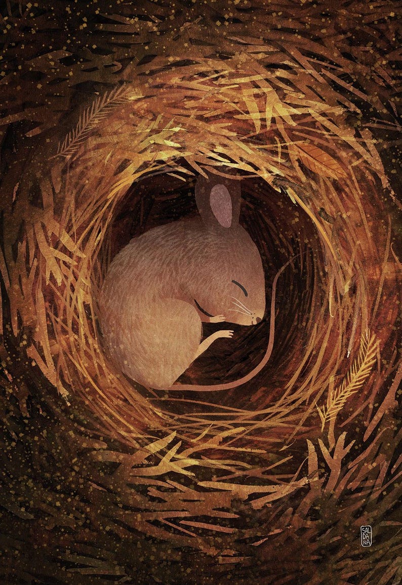 Mouse Napping The Little Mouse's Nap Print | Print 21x30 | Fantasy Illustration ...