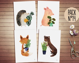 Postcards collection nº14 |  4 postcards set | Animal postcards| Illustrated postcards | Postal cards | Postcards pack