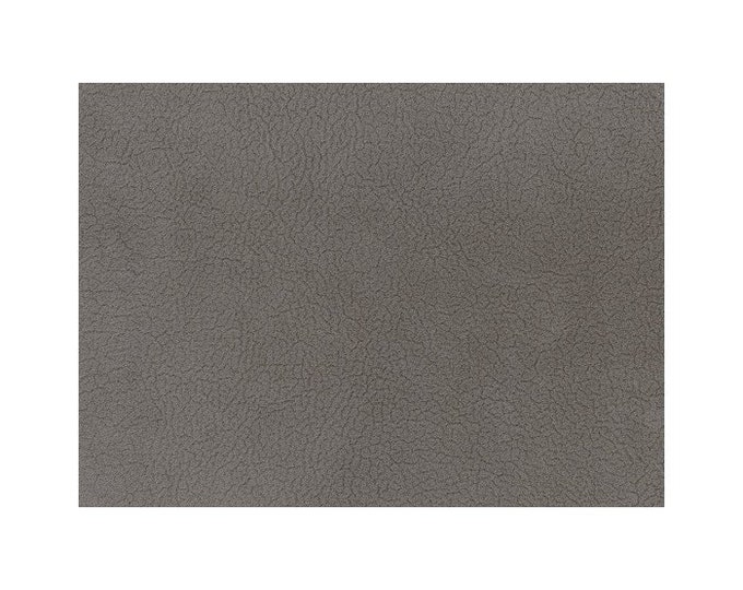 FABRIC DR. Fellgood Gun Metal By Reid Witlin Ltd, High Performance Chenille, Good for Upholstery, Drapery, Bedding, Pillows,
