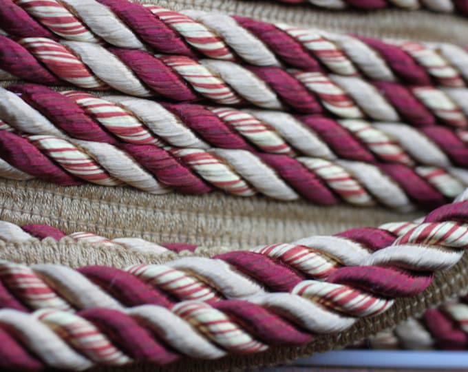 Lip Cord by Conso Trim, F21970 PR02, Cord with Lip, For Drapery, Upholstery, Pillows, Lamp Shade,