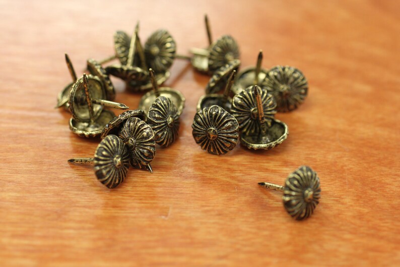 Upholstery Decorative Daisy NAIL HEADS Oxford Plated Finish Etsy