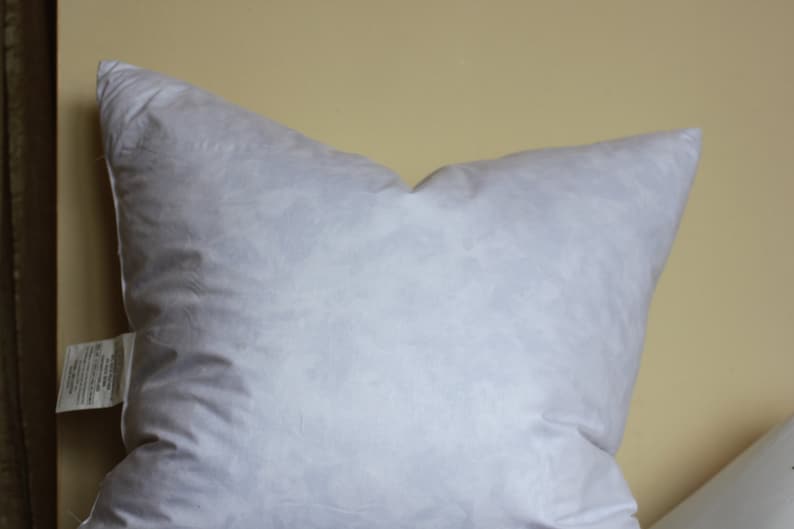 Puede incluir: Una almohada de plum&oacute;n blanco con una superficie lisa y suave. La almohada es rectangular y tiene una ligera curva en la parte superior.
