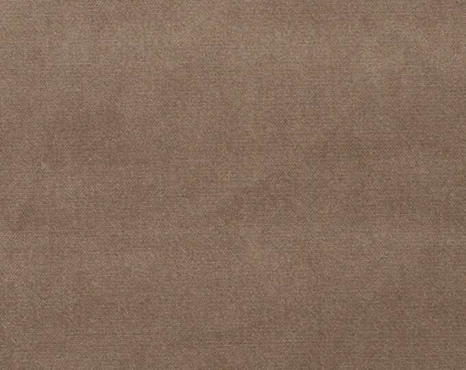 Panache Velvet Stone, By Fabricut, Velvet fabric, 54" wide, Good For Upholstery, Drapery, Bedding, Dress,