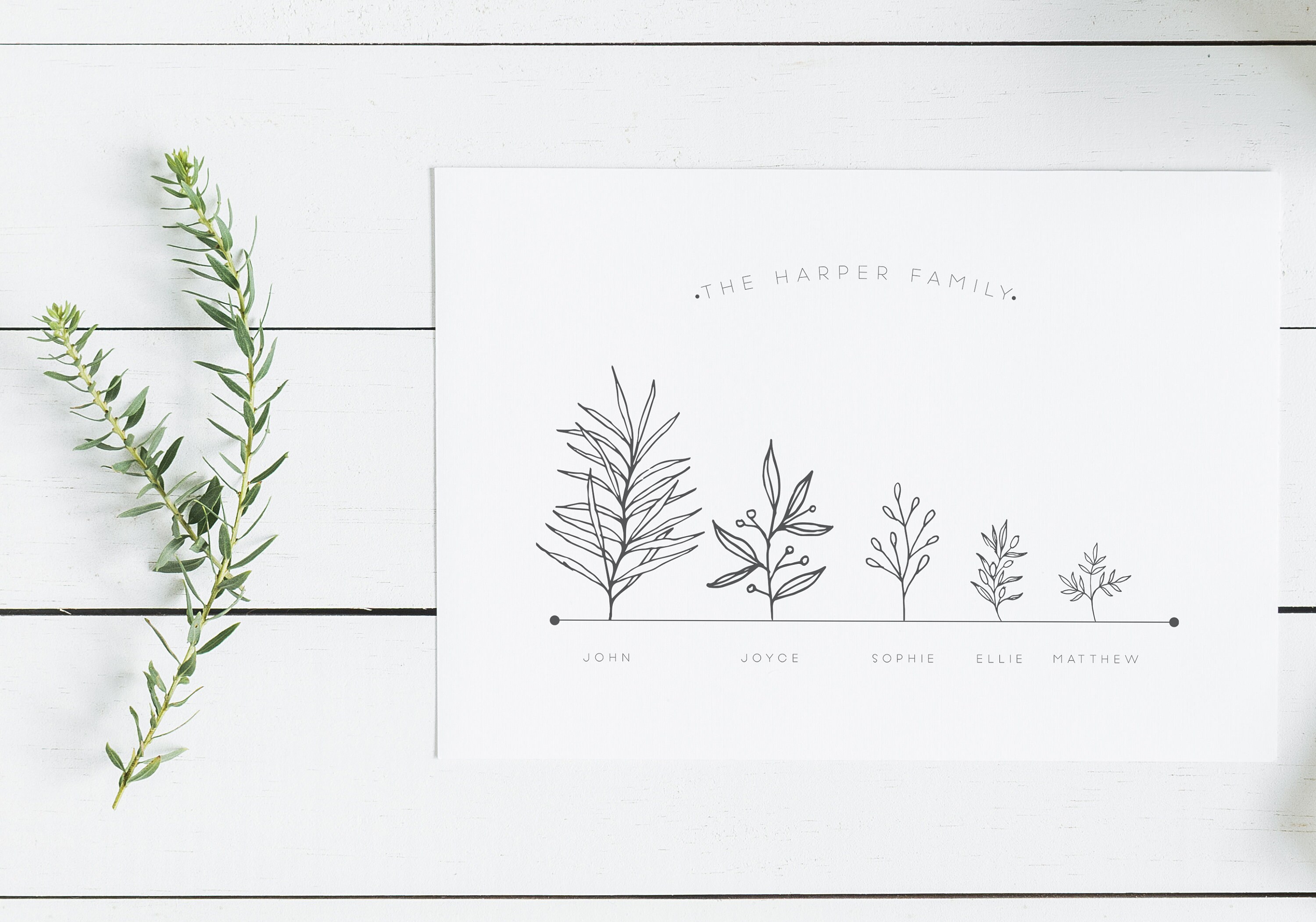 Botanical Family Print Botanical Print Gifts for the Family Etsy