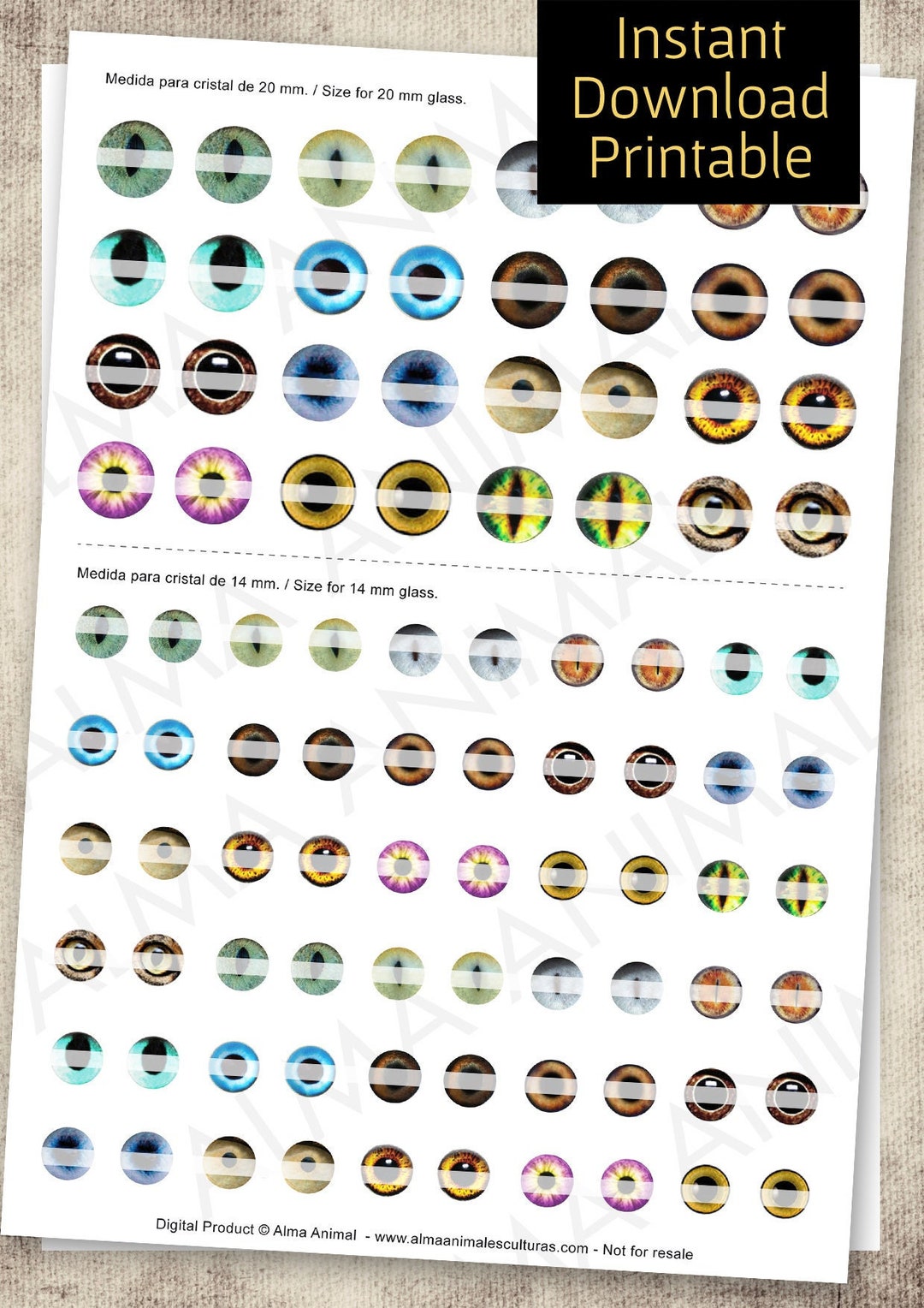 Realistic Eyes CATS, DOGS, FANTASY, Felt Animals, Taxidermy. Template ...
