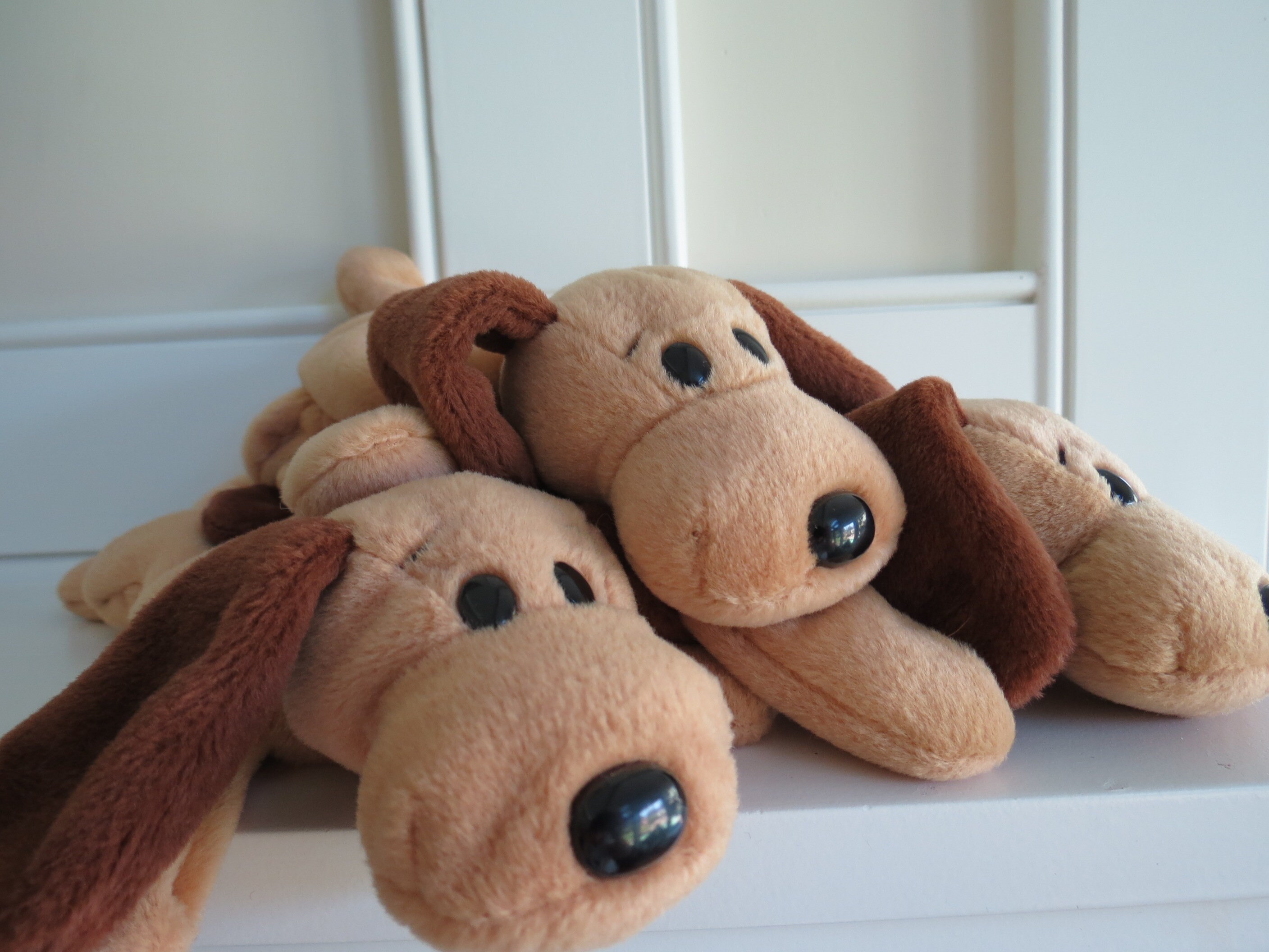 Seltene Ty Beanie Baby Knochen Der Hund Gedicht Und Datum | Etsy