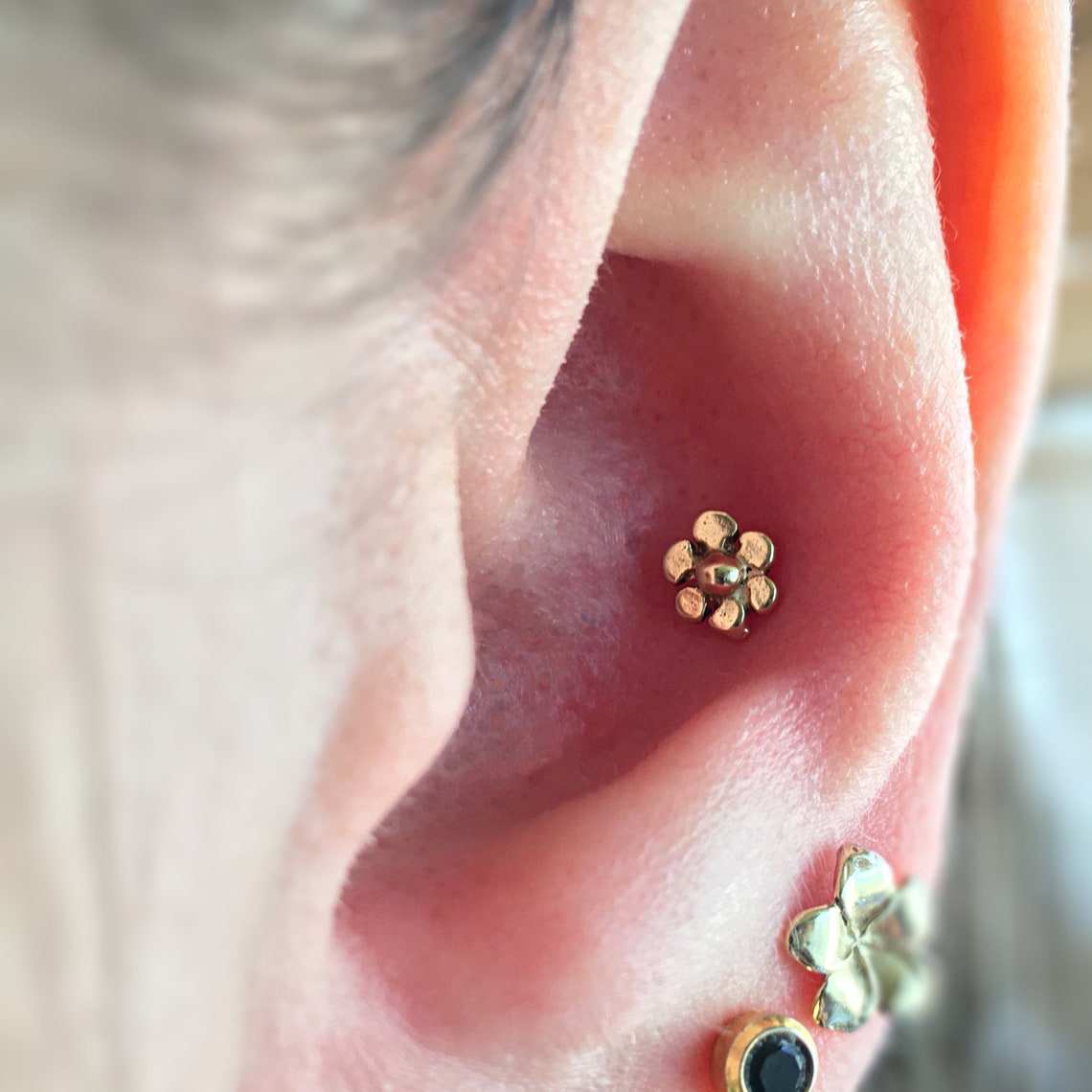 Conch Stud Earring 14K 18g Conch Earring Conch Jewelry Stud Etsy