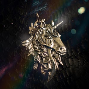 May include: A silver unicorn head pendant with intricate details, including a horn, mane, and feathers. The pendant is on a black textured background.