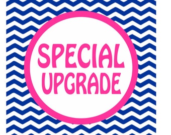 SPECIAL UPGRADE Add-On  ***This has to be ordered and added with item to be shipped for extra personalization***