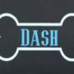 May include: A white bone-shaped graphic with the word "DASH" in blue text on a black background.