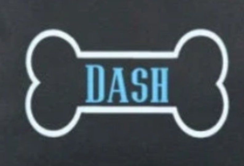 May include: A white bone-shaped graphic with the word "DASH" in blue text on a black background.