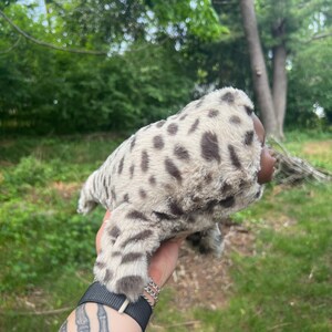 May include: A soft toy seal featuring a spotted pattern in grey and brown. The toy has a furry texture and a brown face. The seal is lying down, with its body slightly curved.