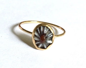 Opihi Ring