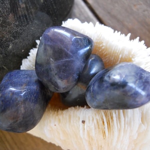 May include: A collection of polished, tumbled stones in shades of deep blue and purple. The stones are smooth and rounded, resting on a white, textured coral-like surface. The lighting highlights the stones' glossy finish.