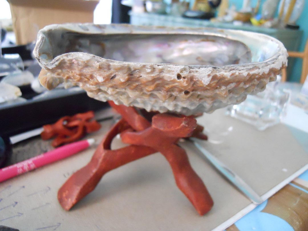 Shell Shape Stand XL Handcarved Wooden Display Stand, 6