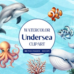 Aquarell Unterwasser Clipart | 30 PNG | Aquarell Wale | Delfin Clipart | Krake Clipart | Aquarell Meerestiere | Seestern Clipart