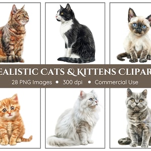 Realistic Cats Clipart | Realistic Kittens Clipart | 28 PNGs | Watercolor Cats | Instant Download | Watercolor Clipart | Animals Clipart