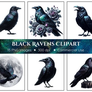 Zwarte raven clipart | 15 png-bestanden | Gotische raven | Raaf, png-bestand | Zwarte vogels-clipart | Commercieel gebruik | Direct downloaden