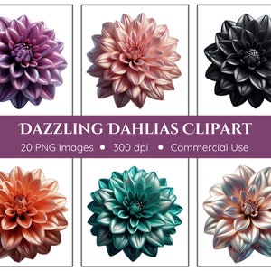 Schillernde Dahlien Clipart Pack | 20 PNG | Dahlie Blume Clipart | Dahlie PNG | Sofortdownload | Blumen Clipart | Florale Ephemera