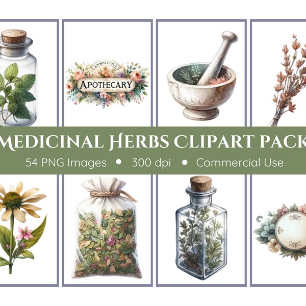 Heilkräuter-Clipart-Pack - transparenter Hintergrund - Kräuter, Botanicals, Apotheker