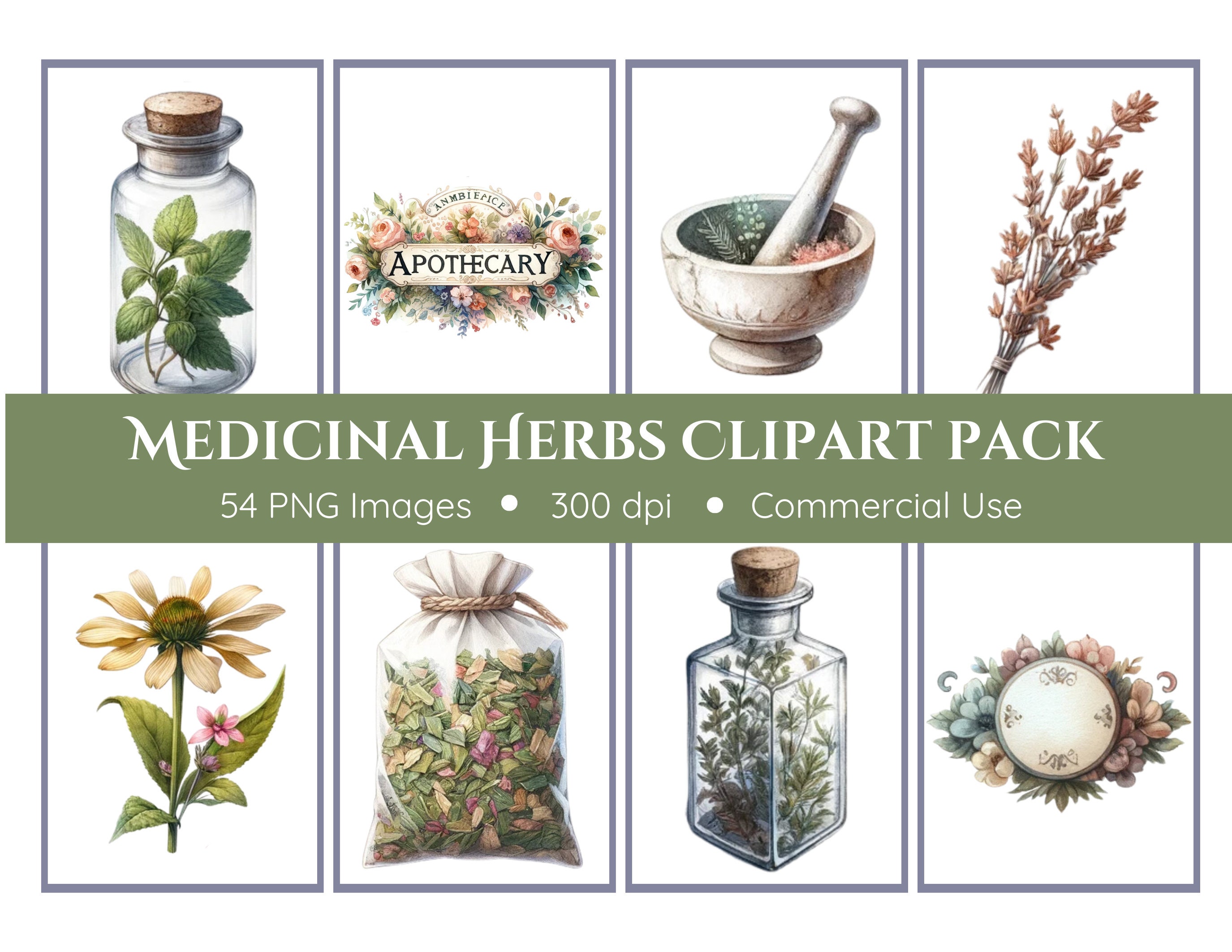 Medicinal Herbs Clipart Pack - Transparent Background - Herbs, Botanicals, Apothecary
