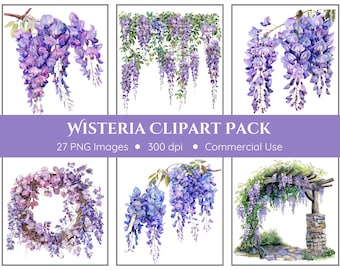 Pacote de clipart de glicínias - fundo transparente - glicínias, guirlandas de glicínias, brindes de glicínias, mandris de glicínias, árvores de glicínias, guirlandas de glicínias