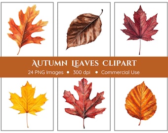 Autumn Leaves Clipart | 24 PNGs | Fall Leaves Clipart | Digital Download | Fall Clipart | Thanksgiving Clipart | Commercial Use | Autumn PNG