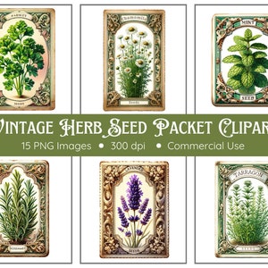 Pack de cliparts de graines d'herbes vintage - 15 PNG - fond Transparent - Clipart jardinage - éphémères vintage - Clipart d'herbes