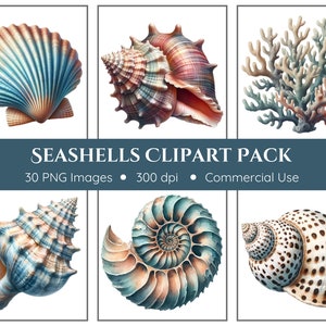 Clipart schelpen | 30 png-bestanden | Direct downloaden | Zeeschelp png | Aquarel schelpen | Junkjournaal | Strandclipart | Oceaan Clipart