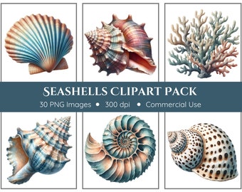 Imágenes Prediseñadas de conchas marinas / 30 PNGs / Descarga instantánea / Conchas marinas Png / Conchas marinas de acuarela / Diario basura / Imágenes prediseñadas de playa / Imágenes prediseñadas del océano