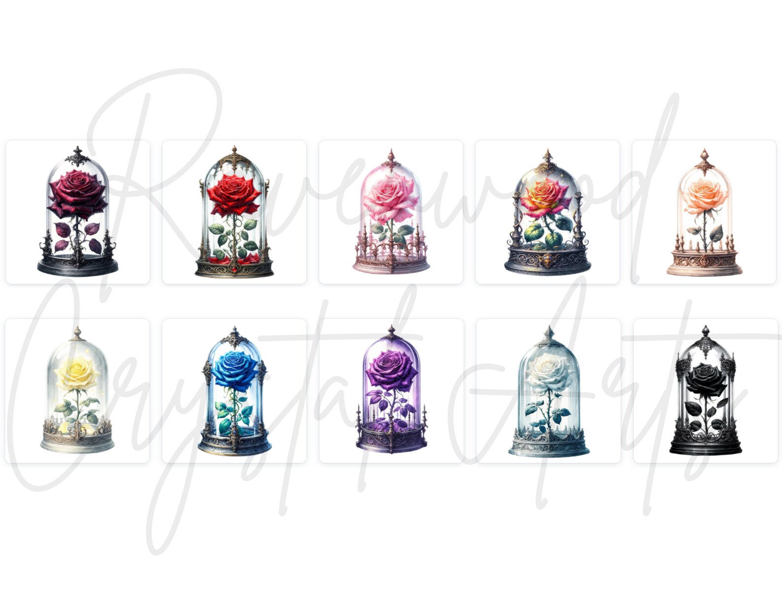 Enchanted Rose Clipart Pack Transparent Background Enchanted Roses