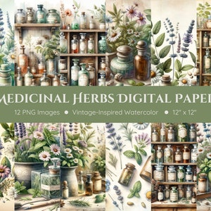 Carta digitale per erbe medicinali - Acquerello di ispirazione vintage - Erbe, prodotti botanici, farmacia