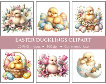 Easter Duckling Clipart Pack - Transparent Background - Watercolor Ducklings, Easter Clipart, Easter Baskets, Easter Flowers, Easter Ducks