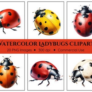 Clipart coccinella / 20 PNG / ClipArt Lady Bug / Clipart acquerello / Diario spazzatura / Acquerello Coccinella / Download istantaneo / ClipArt digitale