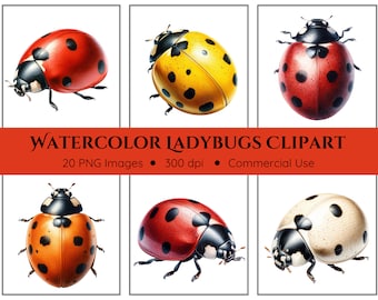 Clipart de mariquita / 20 PNGs / Lady Bug Clip Art / Clipart de acuarela / Diario basura / Acuarela de mariquita / Descarga instantánea / Clip Art digital