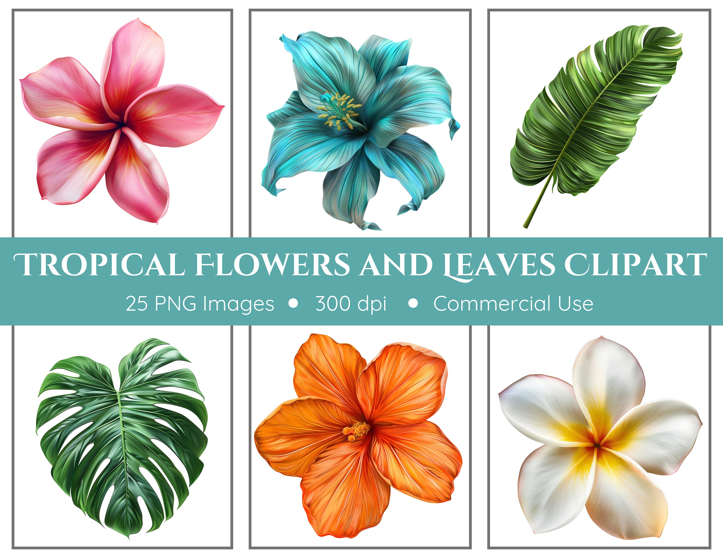 Clipart de flores e folhas tropicais | 25 PNG | Download instantâneo | Luau Clipart | Clipart tropical | Clipart de verão | Download digital