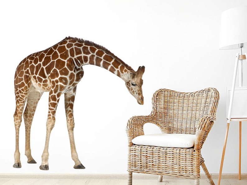 3D Giraffe Wall Sticker. Jungle Safari Removable Decals. Etsy