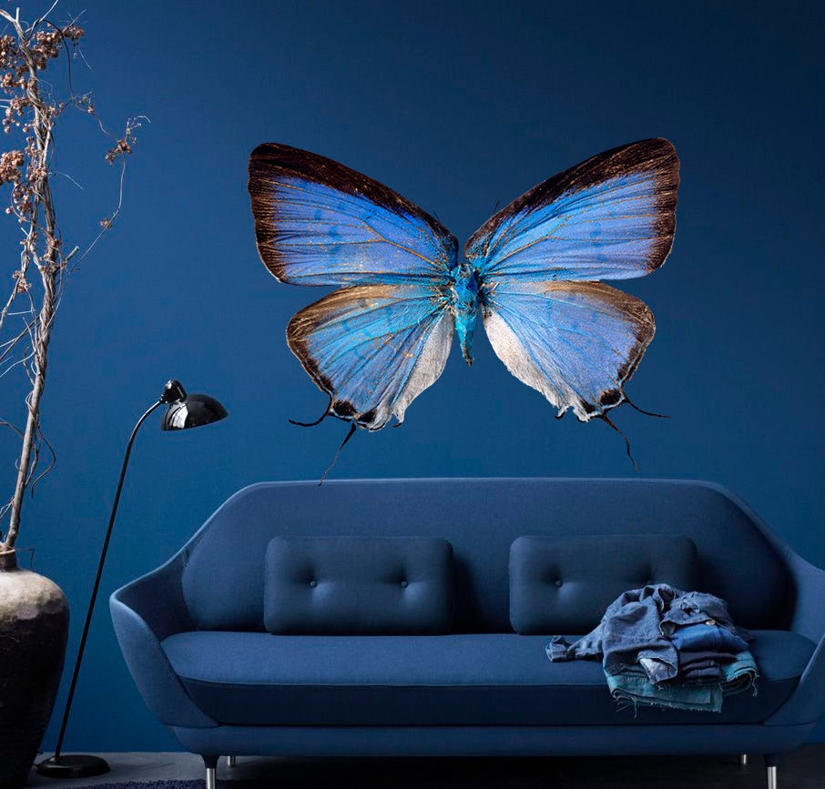 3D Butterfly Wall Decal 3D Butterfly Wall Sticker 3D Etsy