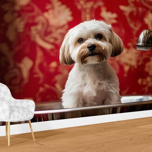 Dog Grooming Salon Wall Mural – Cute Wet Dog Wallpaper for Pet Spa Decor, Dog Wash Station, Pet Salon Backdrop, Custom Size Available