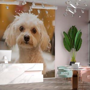 Cute Wet Dog Wall Mural – Funny Dog Grooming Salon Wallpaper, Pet Spa Wall Decor for Pet Salons, Puppy Wash Station Decor, Dog Portrait