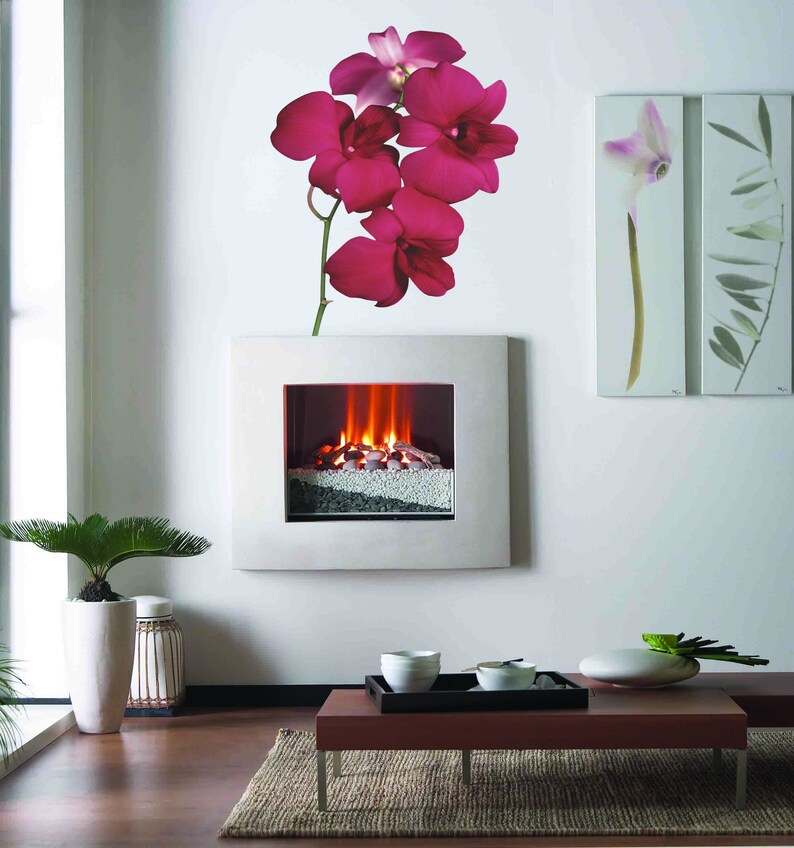 Orchid Wall Decal Orchid Wall Sticker Orchid Wall Decor Etsy