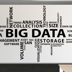 Può includere: Un adesivo da parete con una nuvola di parole nera su sfondo bianco. Il testo centrale recita BIG DATA in grandi lettere, circondato da termini correlati tra cui ANALYSIS, COLLECTION, STORAGE, TECHNOLOGY, NETWORK, MANAGEMENT e CLOUD.